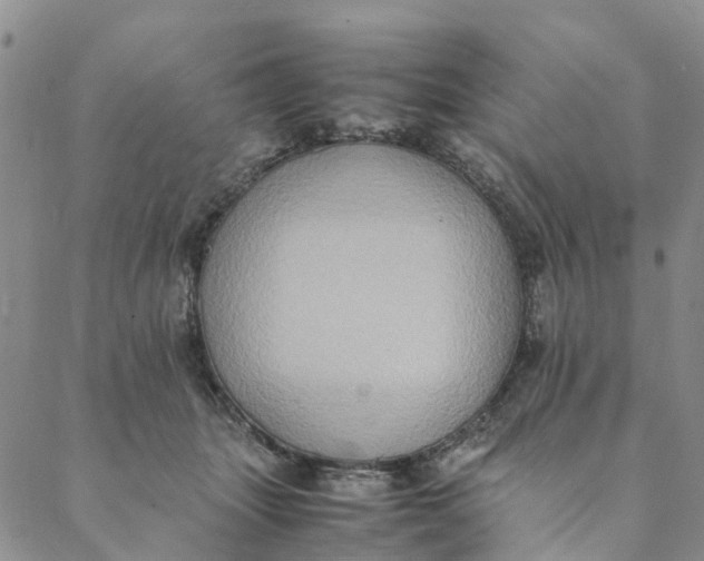 X0000088400463200706121239