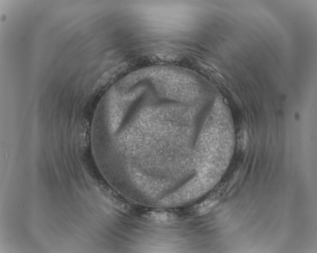 X0000088400464200706121239