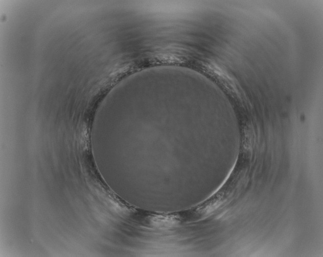 X0000088400465200706121239