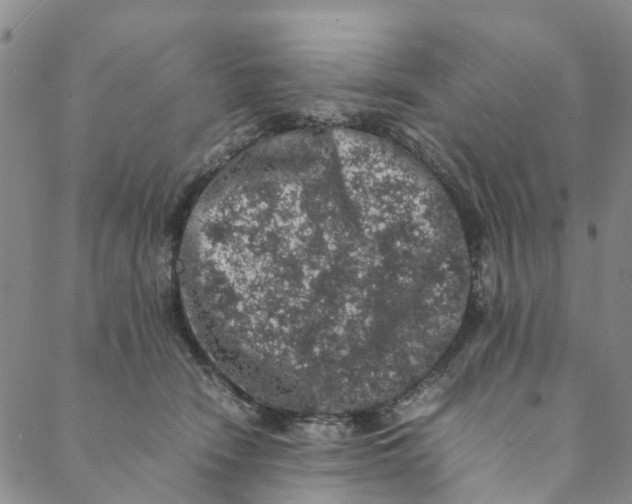 X0000088400466200706121239