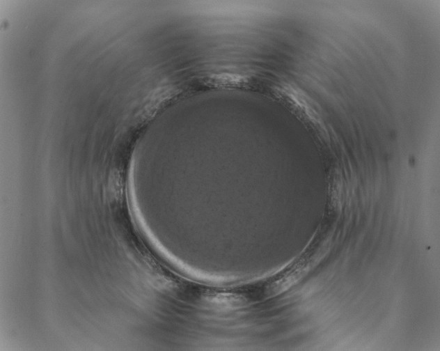 X0000088400467200706121239