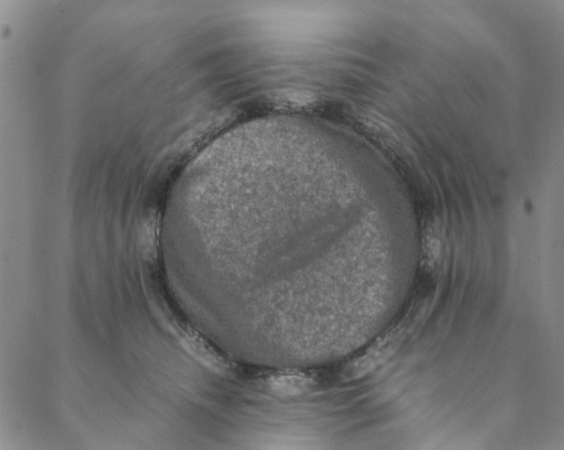 X0000088400468200706121239