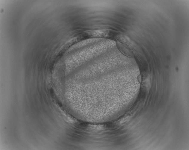 X0000088400469200706121239