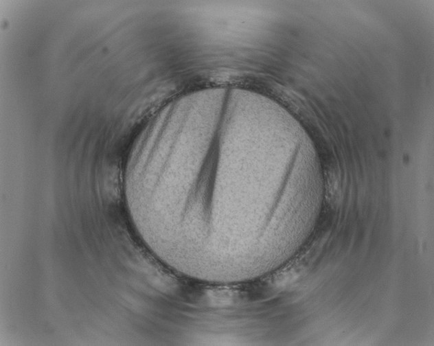 X0000088400470200706121239