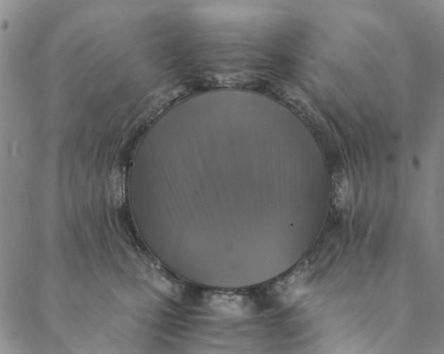 X0000088400471200706121239