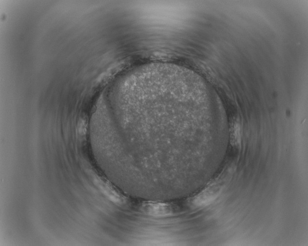 X0000088400472200706121239