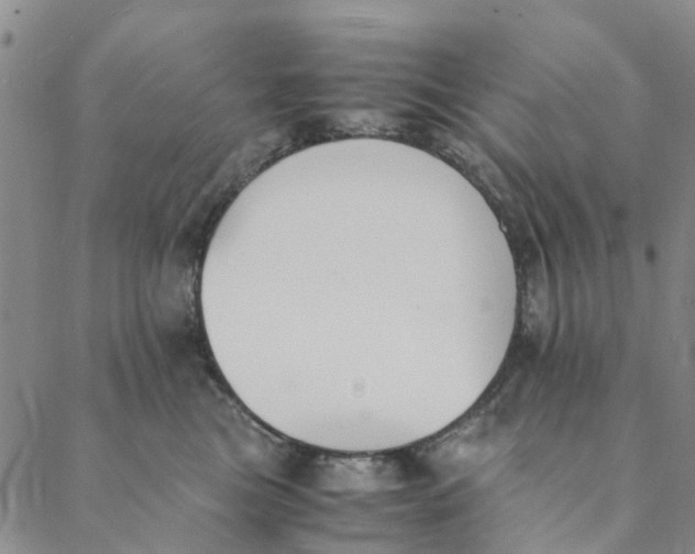 X0000088400473200706121239