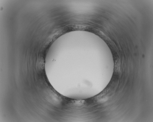 X0000088400474200706121239