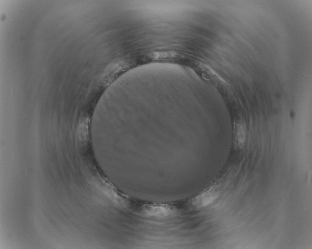 X0000088400475200706121239