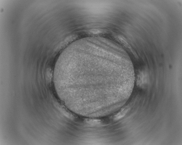 X0000088400476200706121239