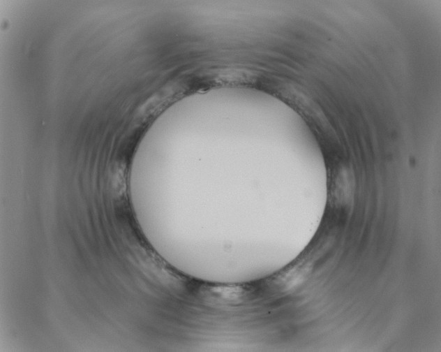 X0000088400478200706121239