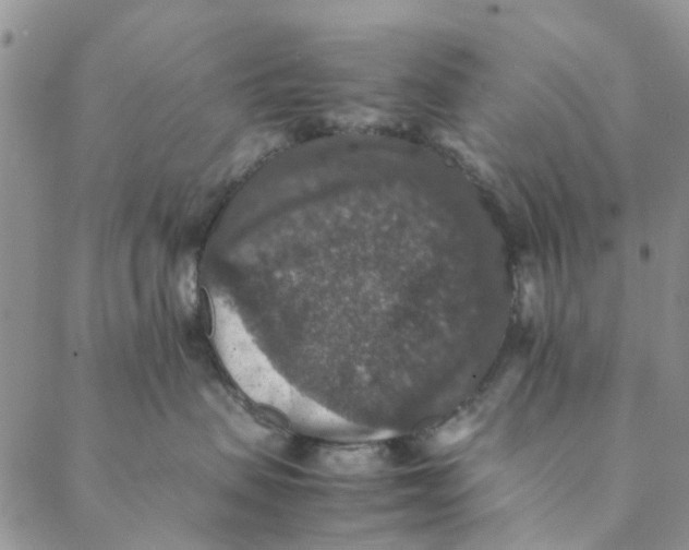 X0000088400479200706121239