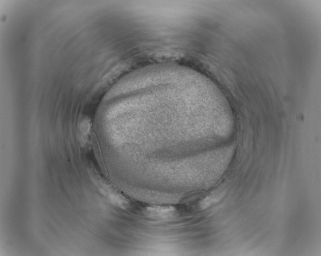 X0000088400480200706121239