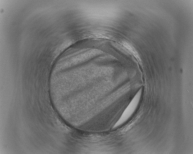 X0000088400481200706121239