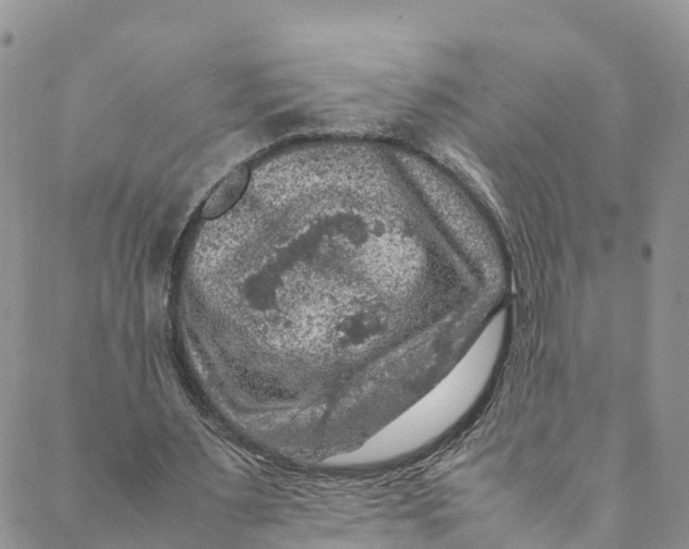 X0000088400483200706121239