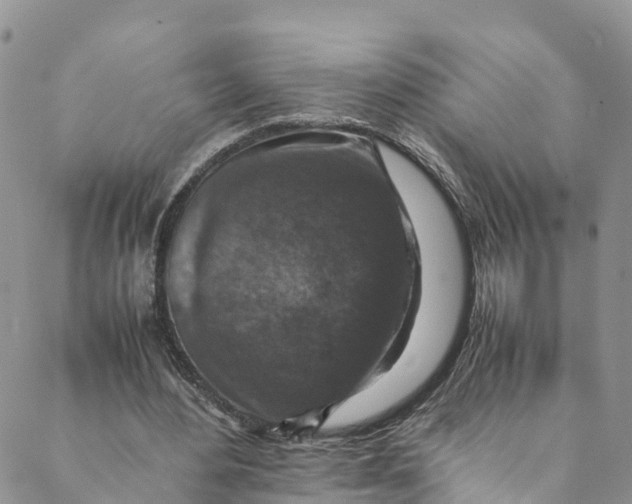 X0000088400484200706121239