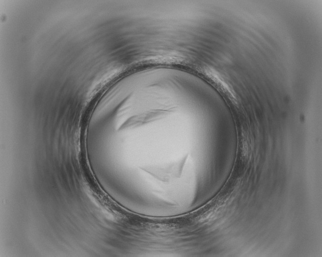 X0000088400486200706121239