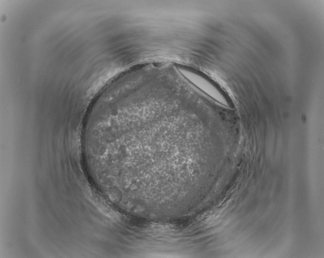 X0000088400487200706121239