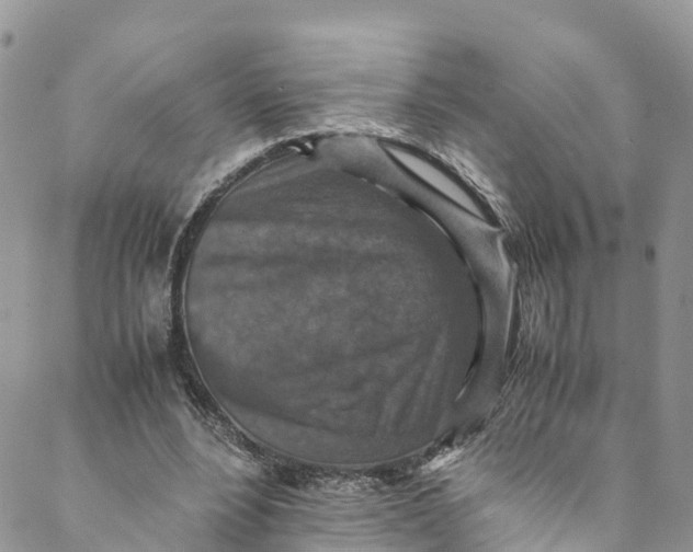 X0000088400488200706121239