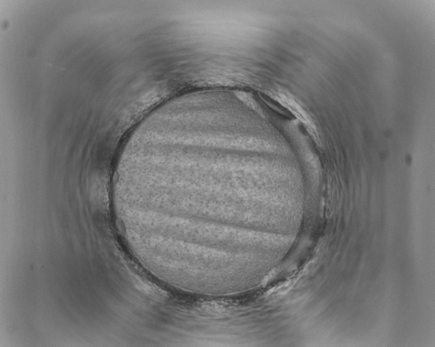 X0000088400489200706121239