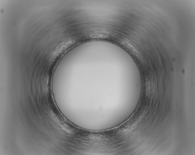 X0000088400490200706121239