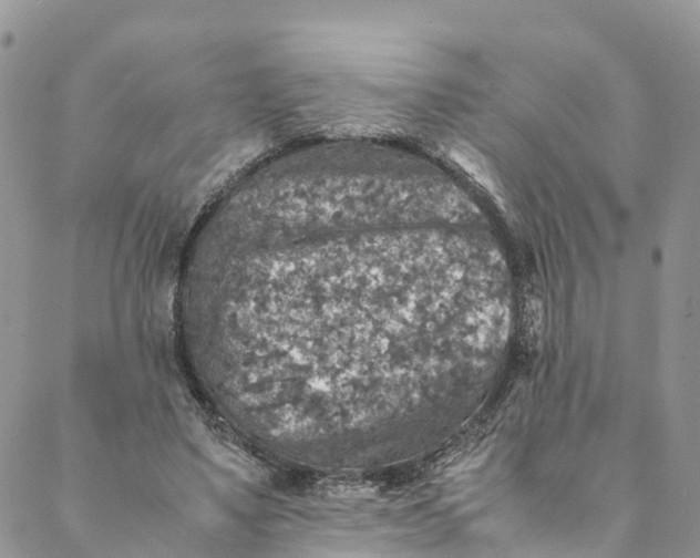 X0000088400491200706121238