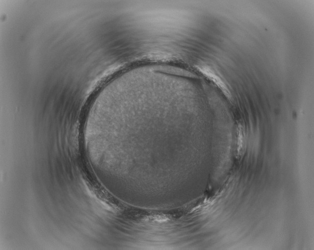 X0000088400492200706121238