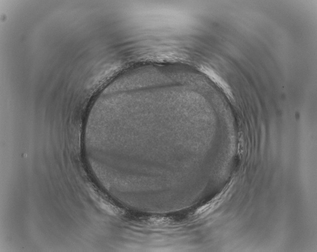 X0000088400493200706121238