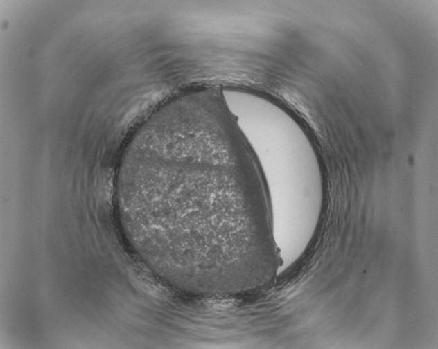 X0000088400495200706121238