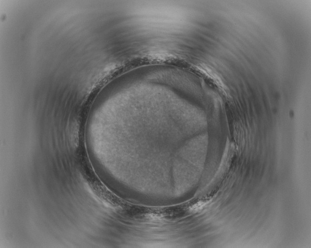 X0000088400496200706121238