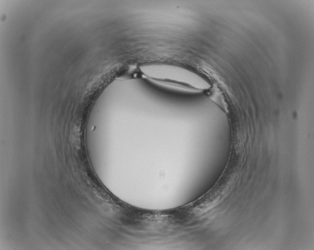 X0000088400497200706121238