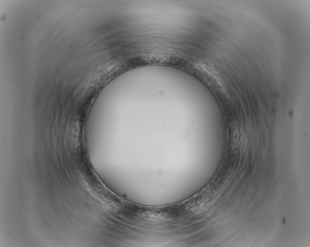 X0000088400498200706121238