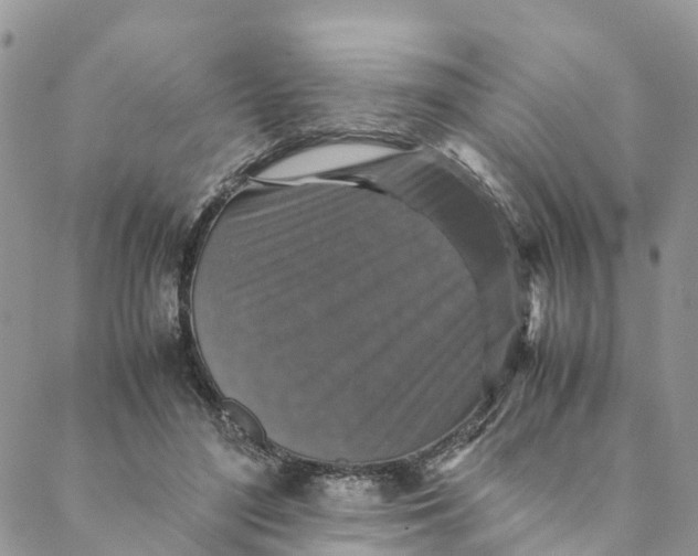 X0000088400500200706121238