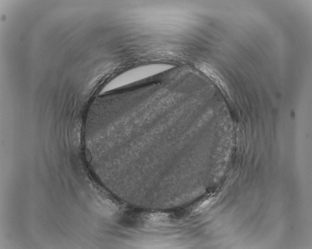 X0000088400501200706121238