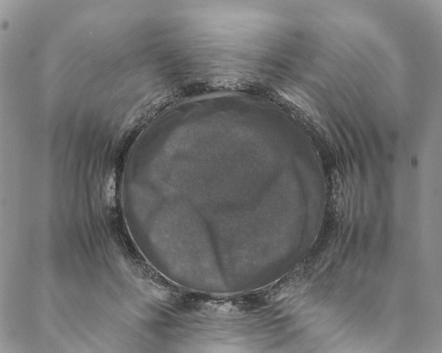 X0000088400502200706121238