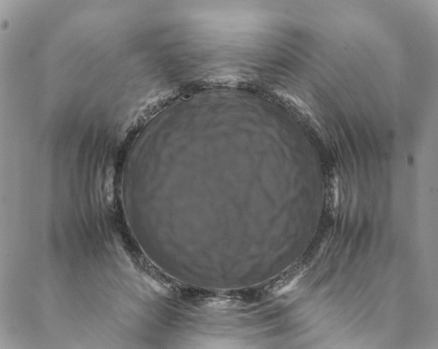 X0000088400504200706121238