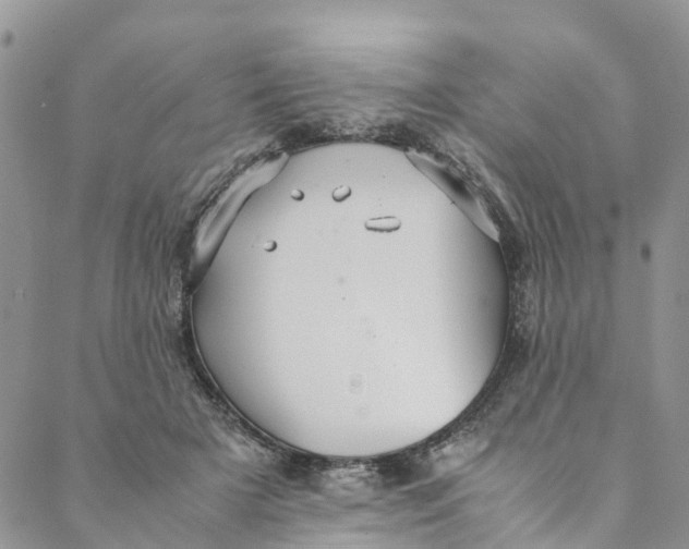 X0000088400505200706121238