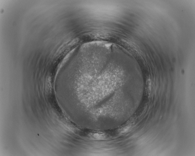 X0000088400506200706121238