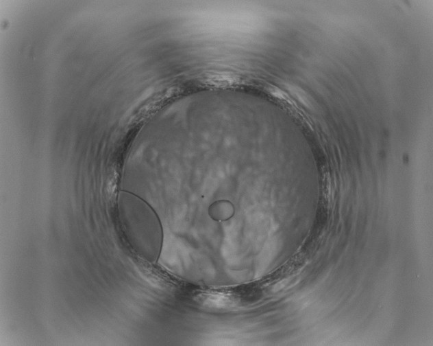 X0000088400507200706121238