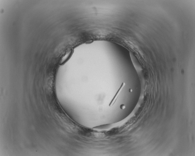 X0000088400509200706121238