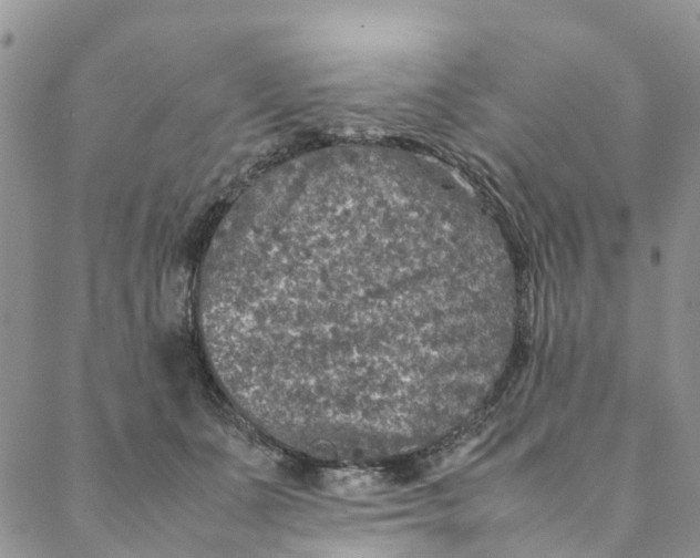 X0000088400511200706121238