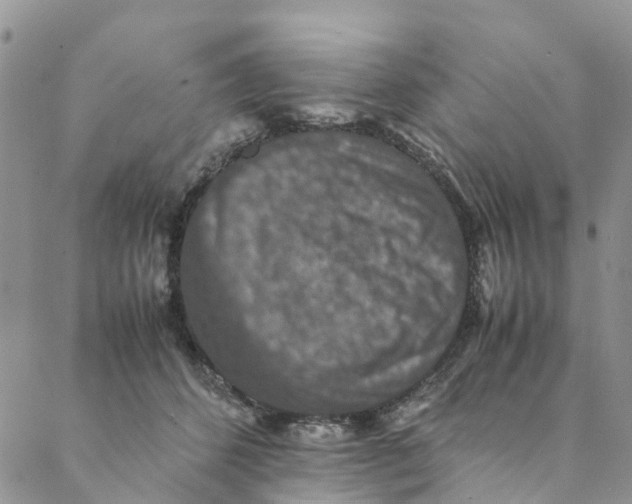 X0000088400512200706121238