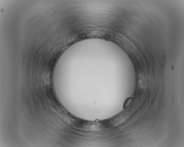 X0000088400514200706121238