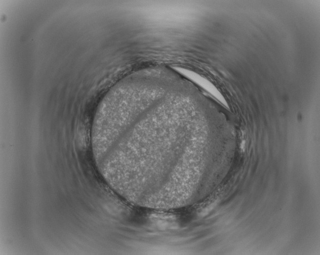 X0000088400515200706121238