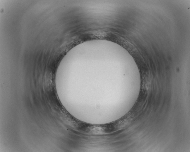 X0000088400518200706121238