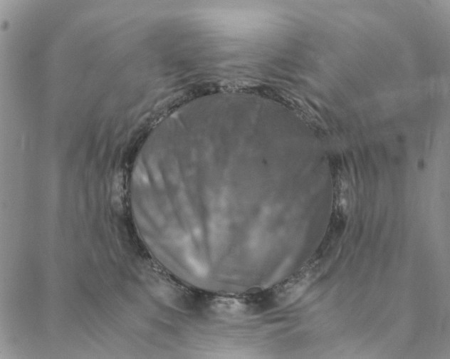 X0000088400519200706121238