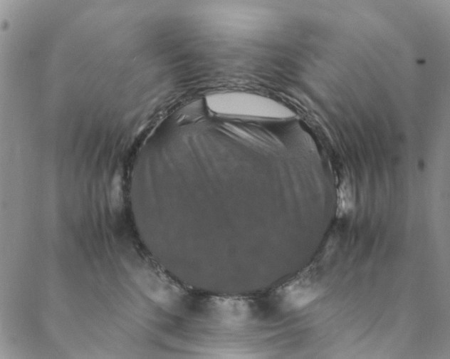 X0000088400520200706121238