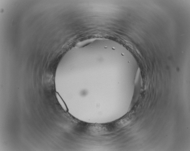 X0000088400521200706121238