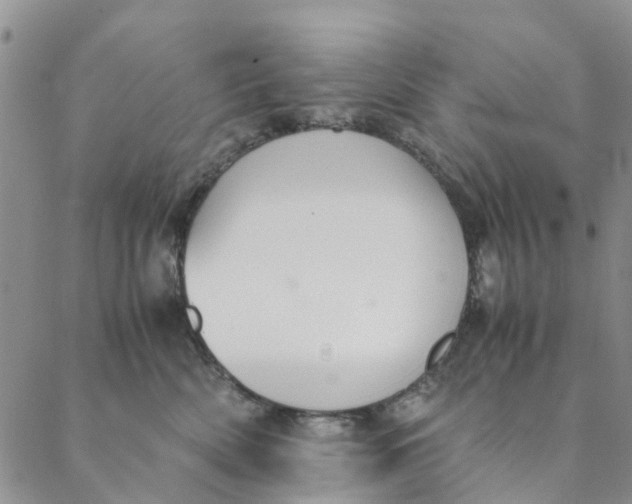 X0000088400522200706121238