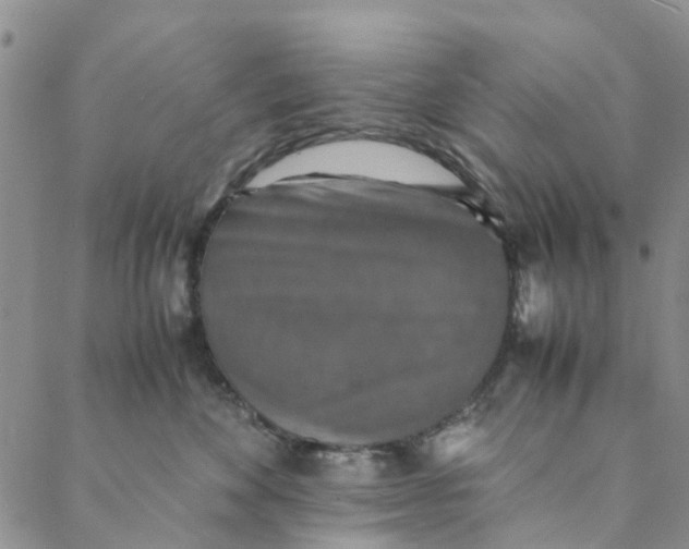 X0000088400524200706121238